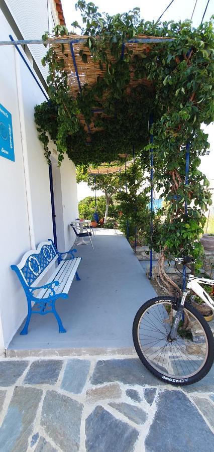 Jenny Apartments Карловаси Екстериор снимка